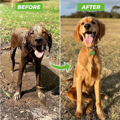 3-in-1 Pet Wash Sprayer